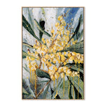 Golden Wattle 50cm x 70cm Framed Canvas - Natural Frame Wall Art Gioia-Local   
