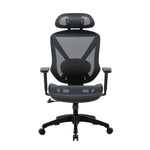 Esparza Mesh Ergonomic Office Chair - Black Office Chair Unicorn-Core   