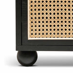 Haley Wooden Side Table with Rattan Front - Black Bedside Table KD-Core   