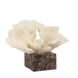 Zyra Coral Marble Sculpture - Beige Homewares Kim-Core