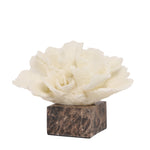 Zyra Coral Marble Sculpture - Beige Homewares Kim-Core