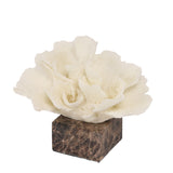 Zyra Coral Marble Sculpture - Beige Homewares Kim-Core