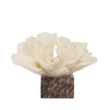 Zyra Coral Marble Sculpture - Beige Homewares Kim-Core