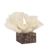 Zyra Coral Marble Sculpture - Beige Homewares Kim-Core