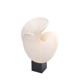 Nautara Shell Look Sculpture - Beige Homewares Kim-Core
