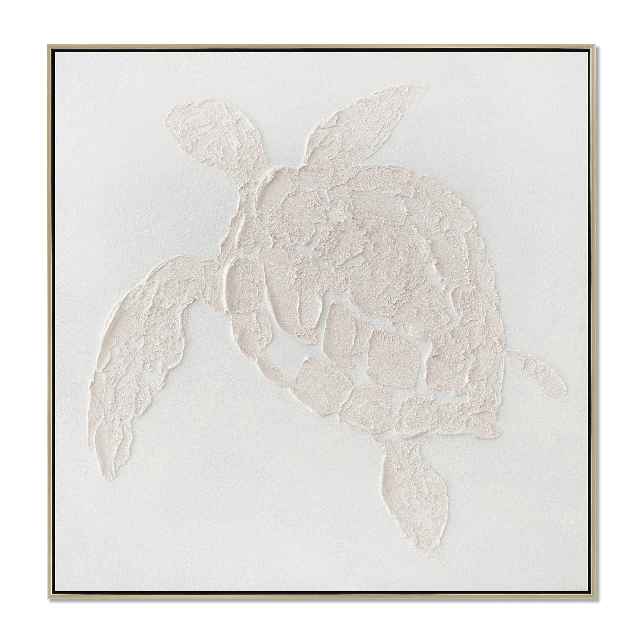 Ocevara Tortoise 60 x 60cm Framed Canvas - Natural Wall Art Cloud-Core