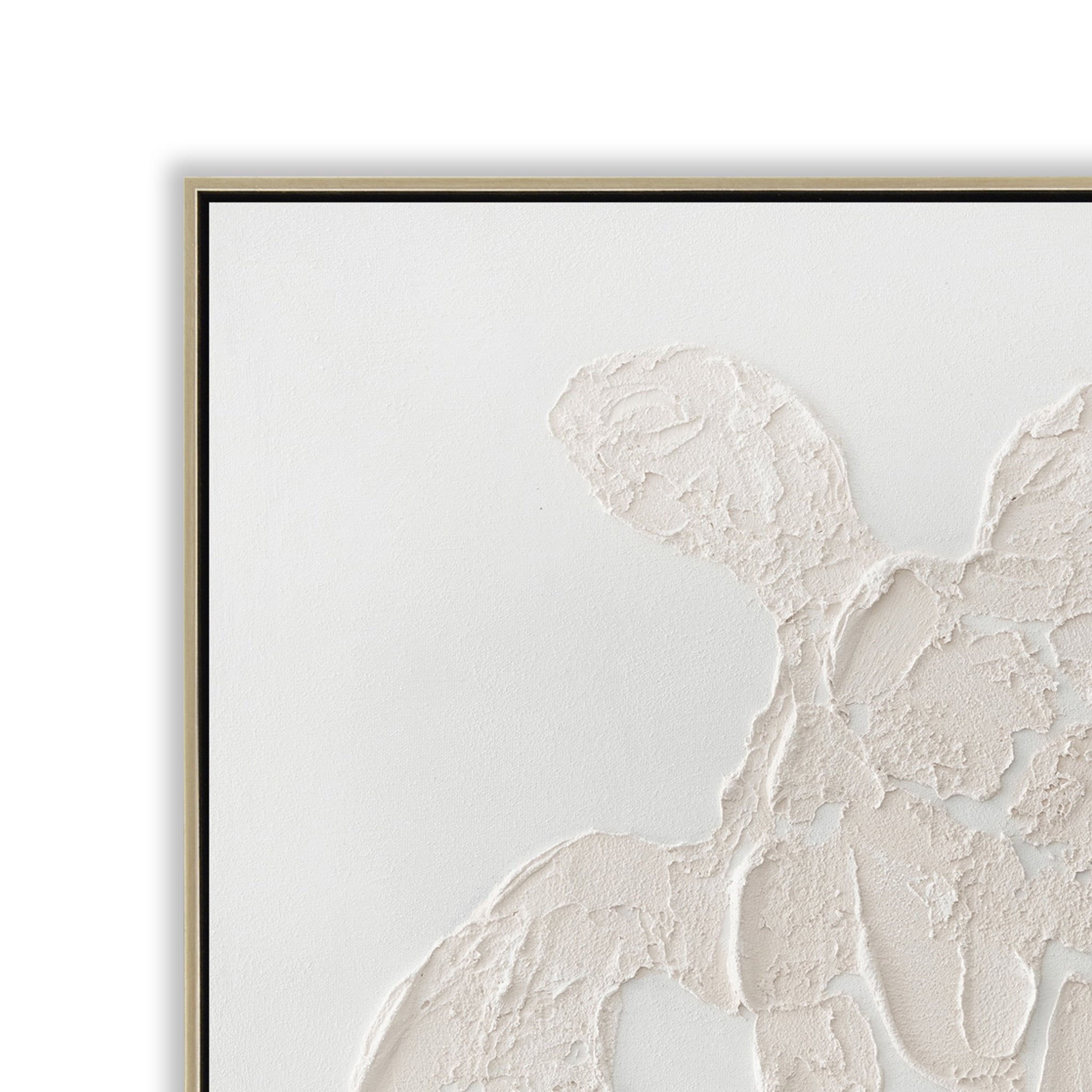 Ocevara Tortoise 60 x 60cm Framed Canvas - Natural Wall Art Cloud-Core