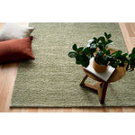 Ex Display - Alina Shaggy Rug 240 x 320 Rug - Pesto Wool Rug Mos-Local