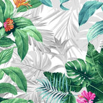 Avatar 300cm x 400cm Wild Floral Indoor and Outdoor Rugs - Silver Green Rug Mos-Local   