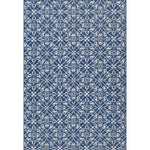 Avatar 300cm x 400cm Snowflake Trellis Indoor and Outdoor Rugs - Blue Rug Mos-Local   
