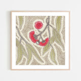 Blooming, By Domica Hill Wall Art Gioia-Local Black Framed Poster 50x50cm