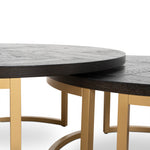 Wilma Nested Coffee Table - Peppercorn and Brass Coffee Table VN-Core