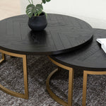 Wilma Nested Coffee Table - Peppercorn and Brass Coffee Table VN-Core
