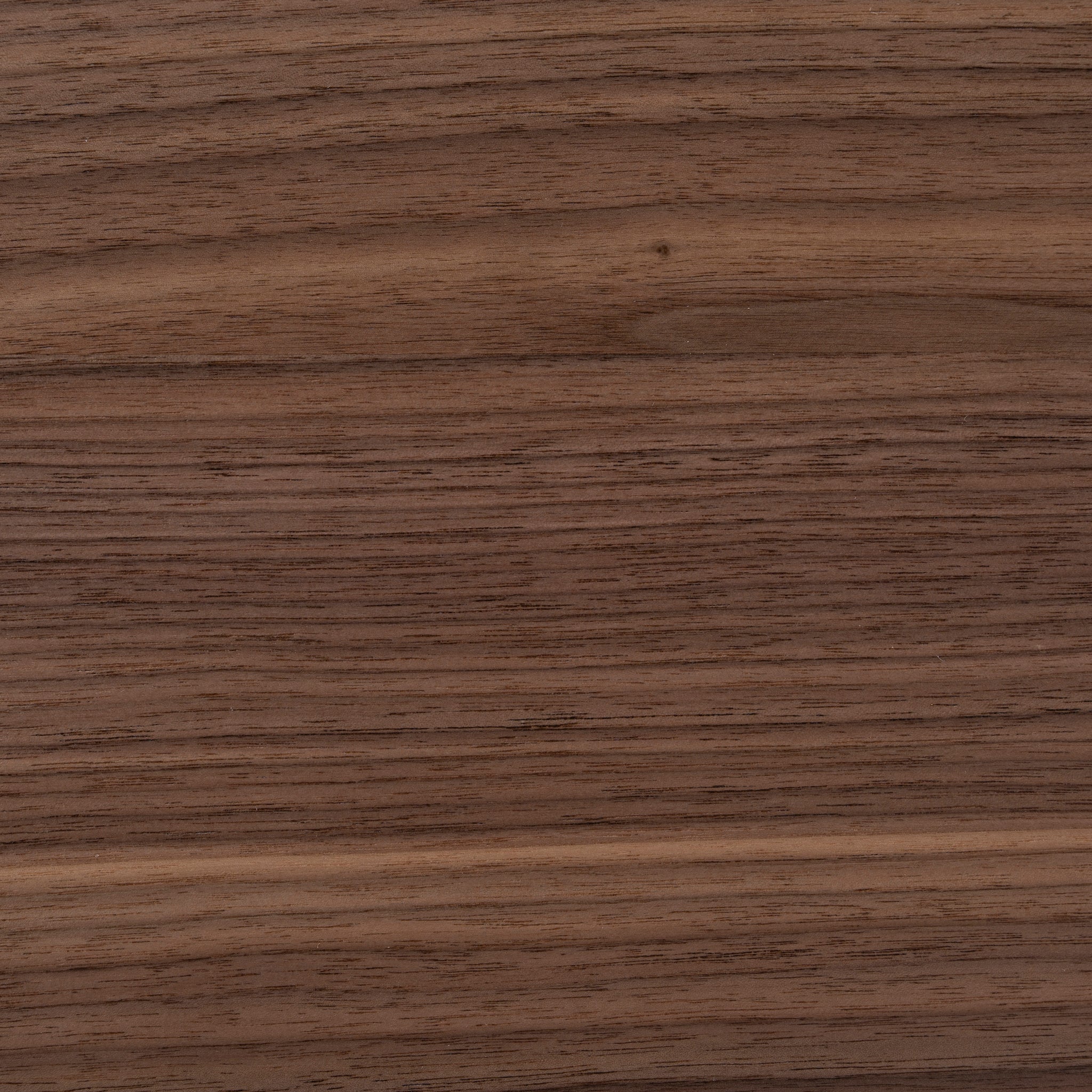 Maxim 1.3m Coffee Table - Walnut Coffee Table Century-Core