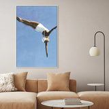 Criss Cross Diver, By Sarah Morrissette Wall Art Gioia-Local