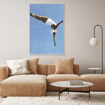 Criss Cross Diver, By Sarah Morrissette Wall Art Gioia-Local