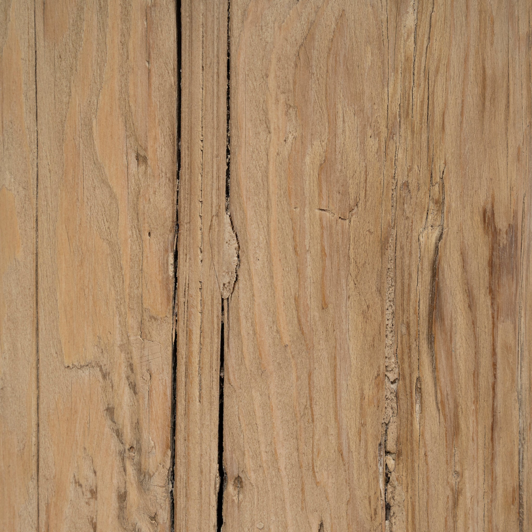 Josif 2.06m Elm Bench - Natural Dining Bench Nasa-Core