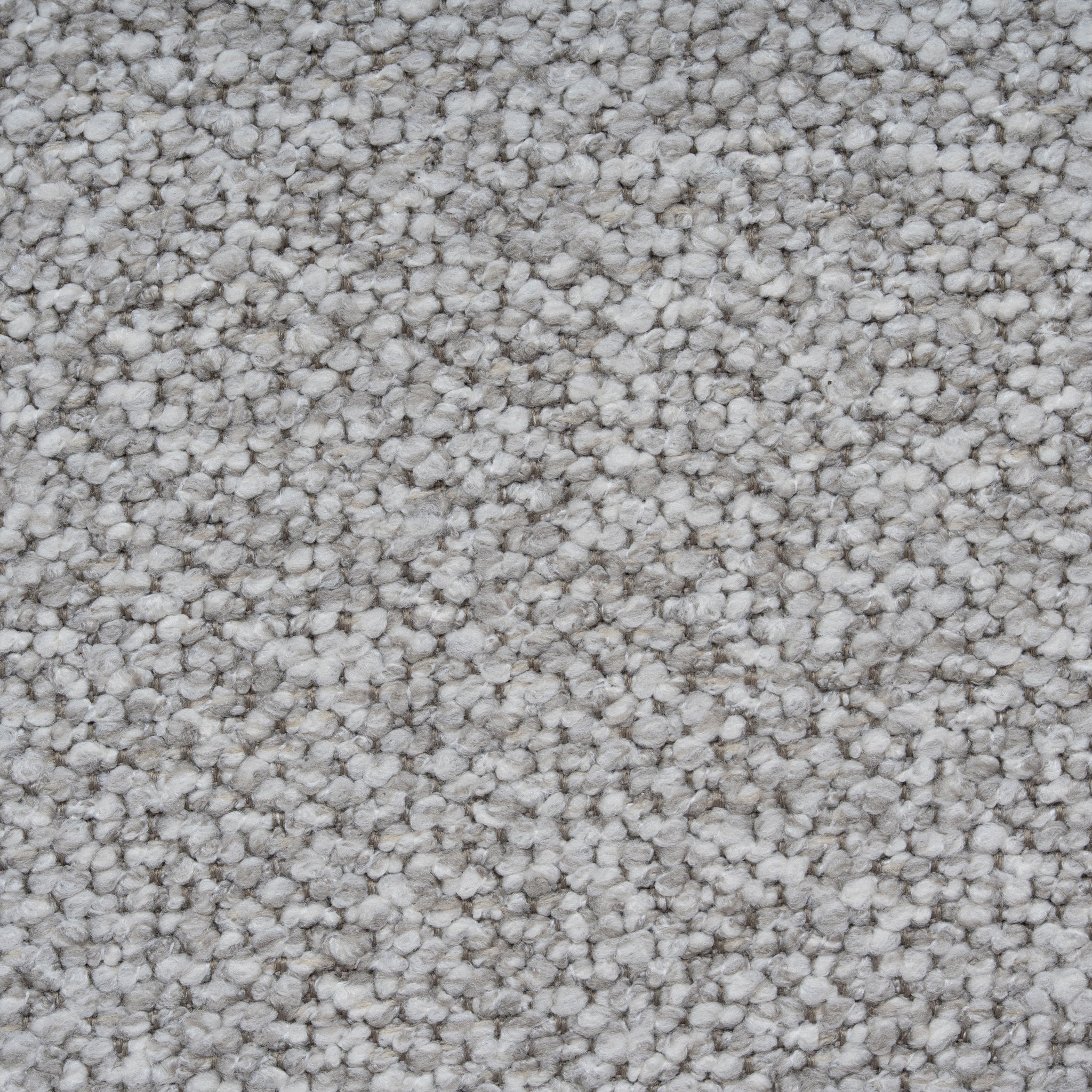 Set of 2 - Sora White Dining Chair - Clay Grey Dining Chair Freehold-Core