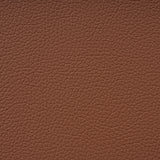 Set of 2 - Fallon Natural Dining Chair - Naxos Tan Dining Chair Naxos-Core