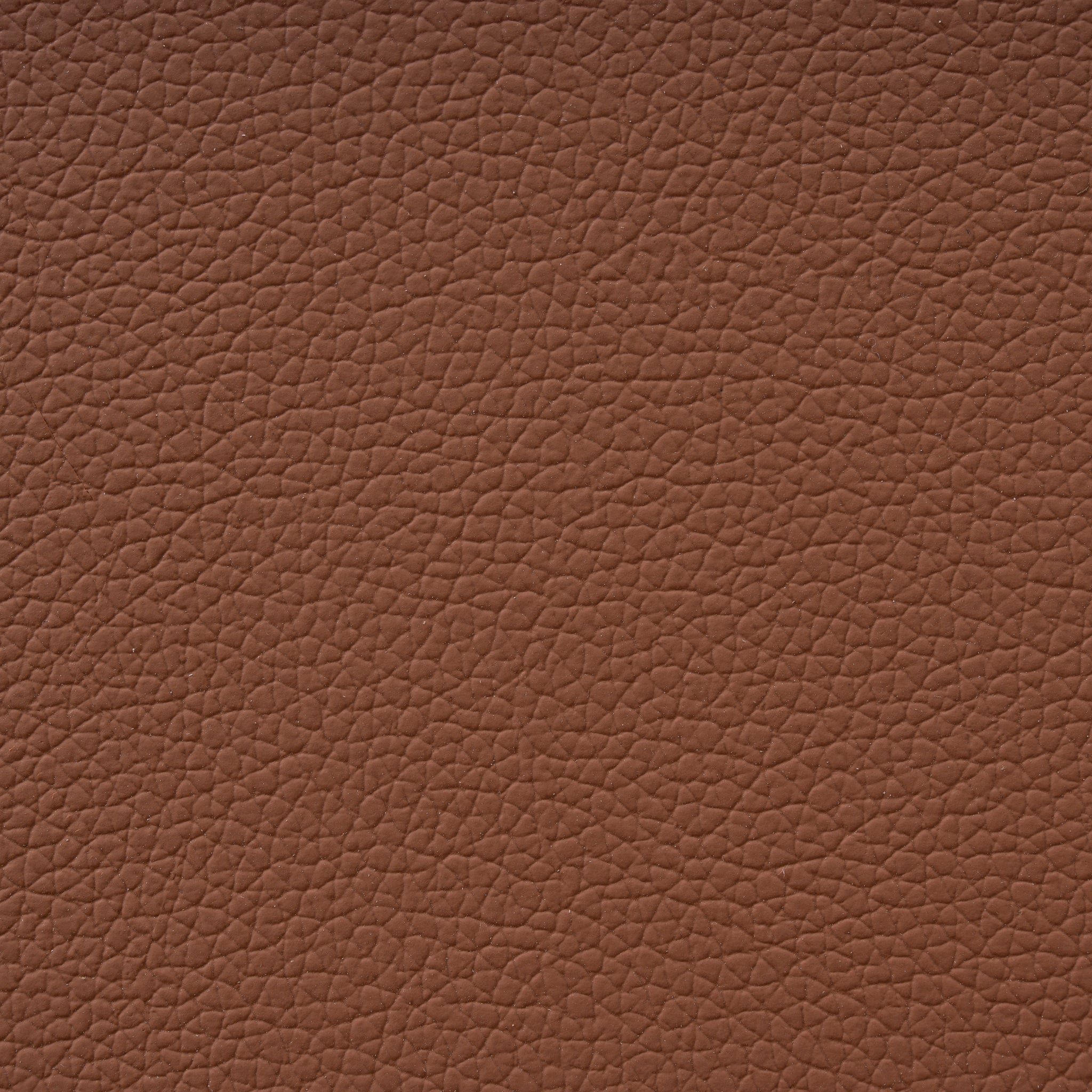 Set of 2 - Fallon Natural Dining Chair - Naxos Tan Dining Chair Naxos-Core