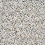 Set of 2 - Solenne Dining Chair - Oatmeal Beige Dining Chair Cino-Core