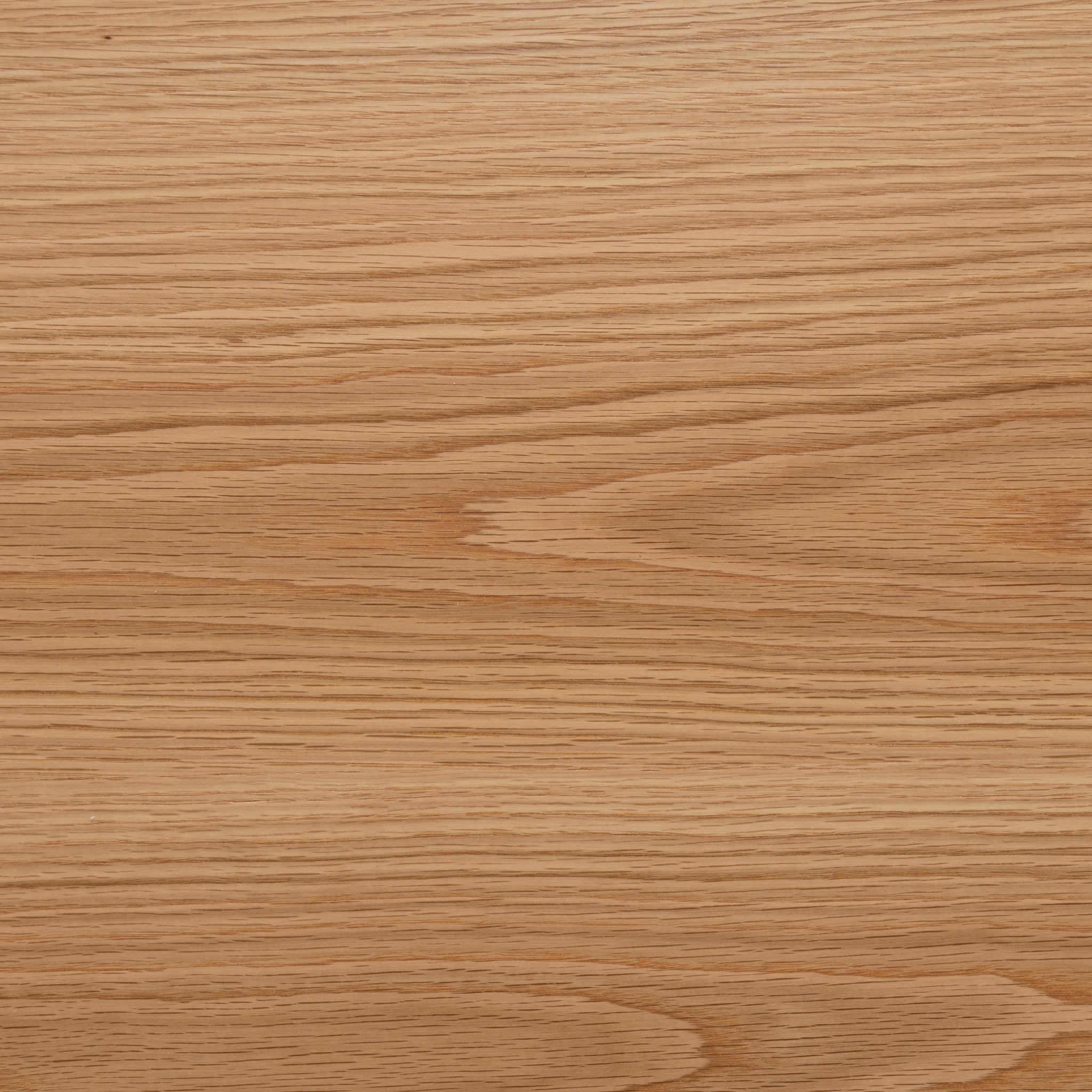 Elemental 2.8m Dining Table - Natural Dining Table Century-Core