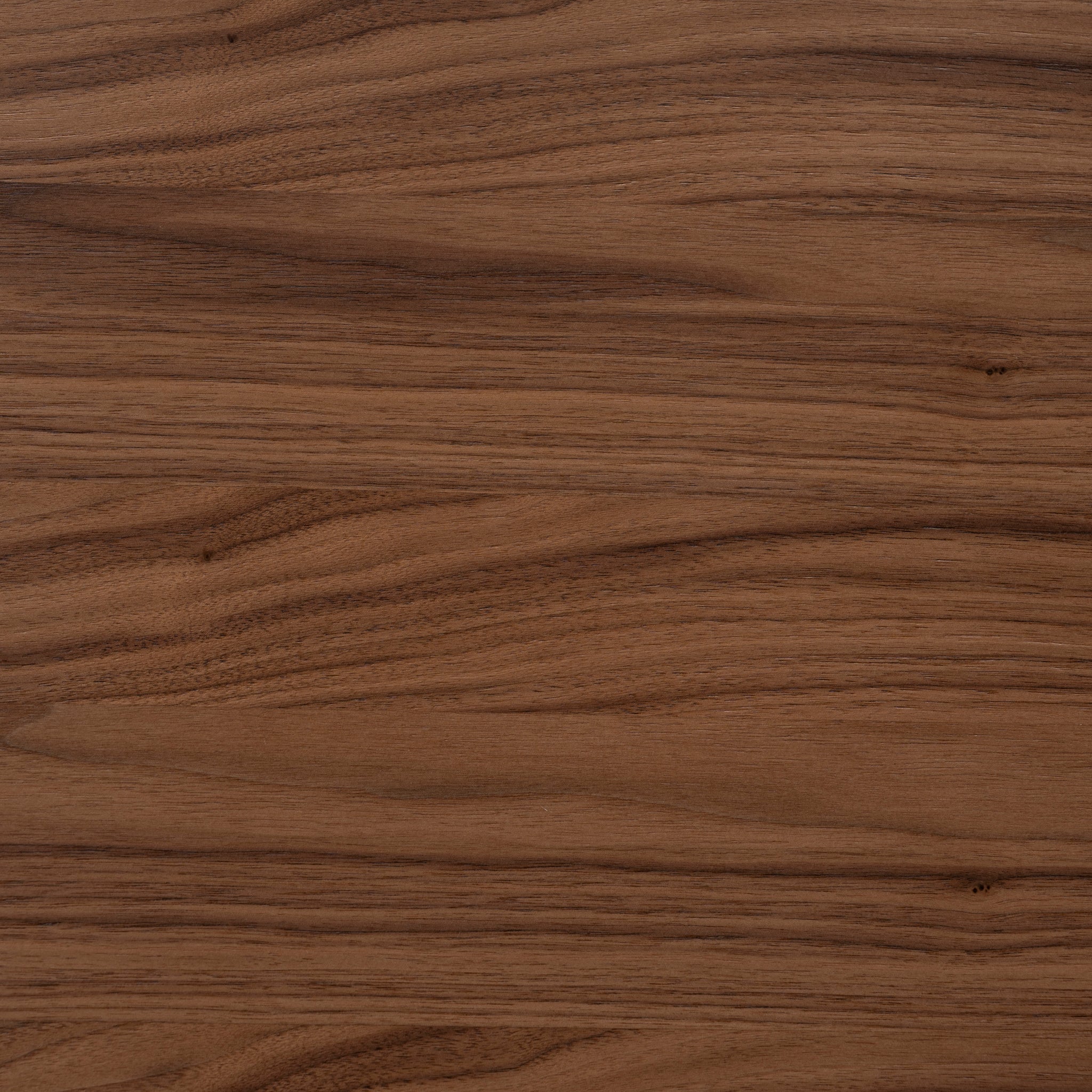 Valdis 2.4m Dining Table - Walnut Dining Table Century-Core