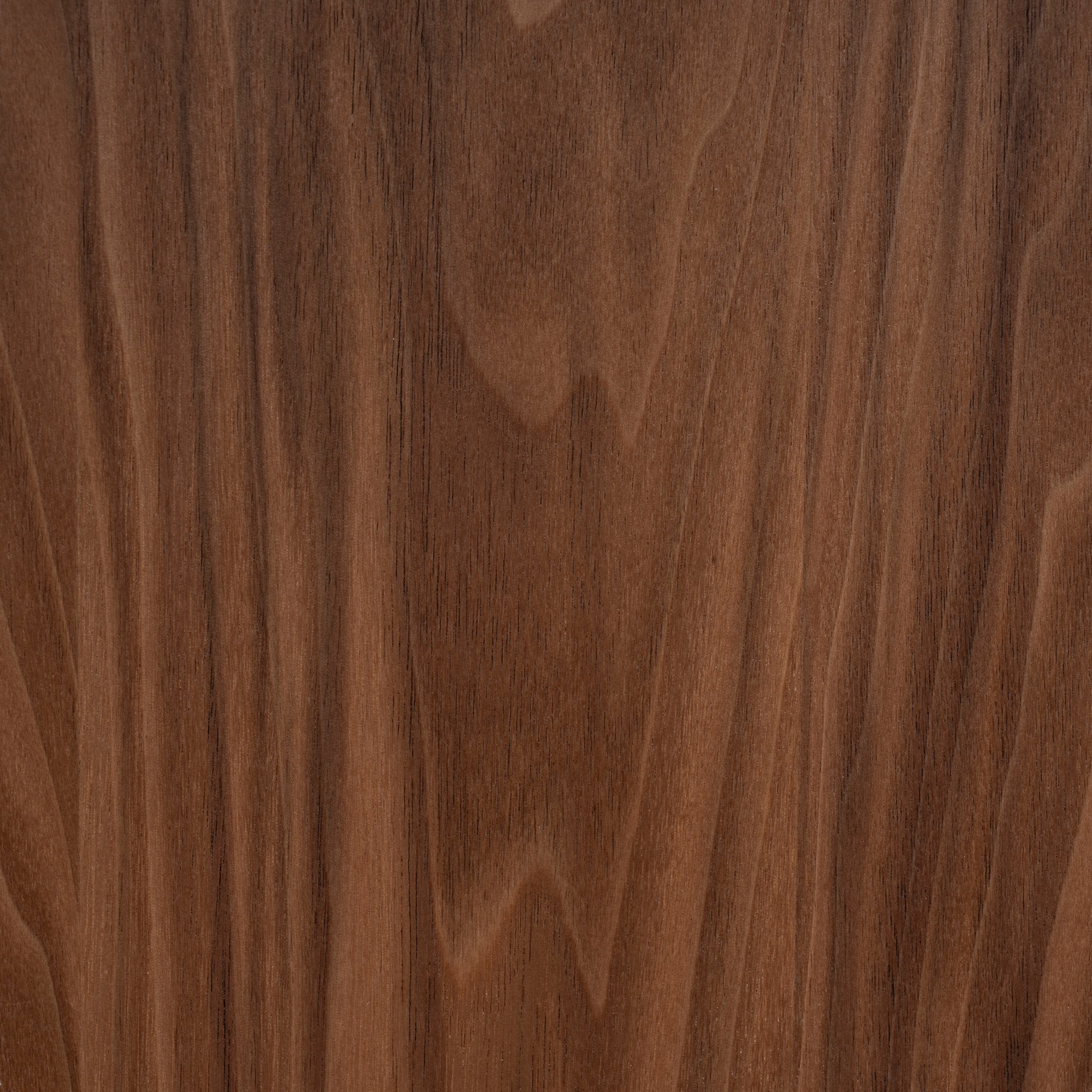 Valdis 2.4m Dining Table - Walnut Dining Table Century-Core