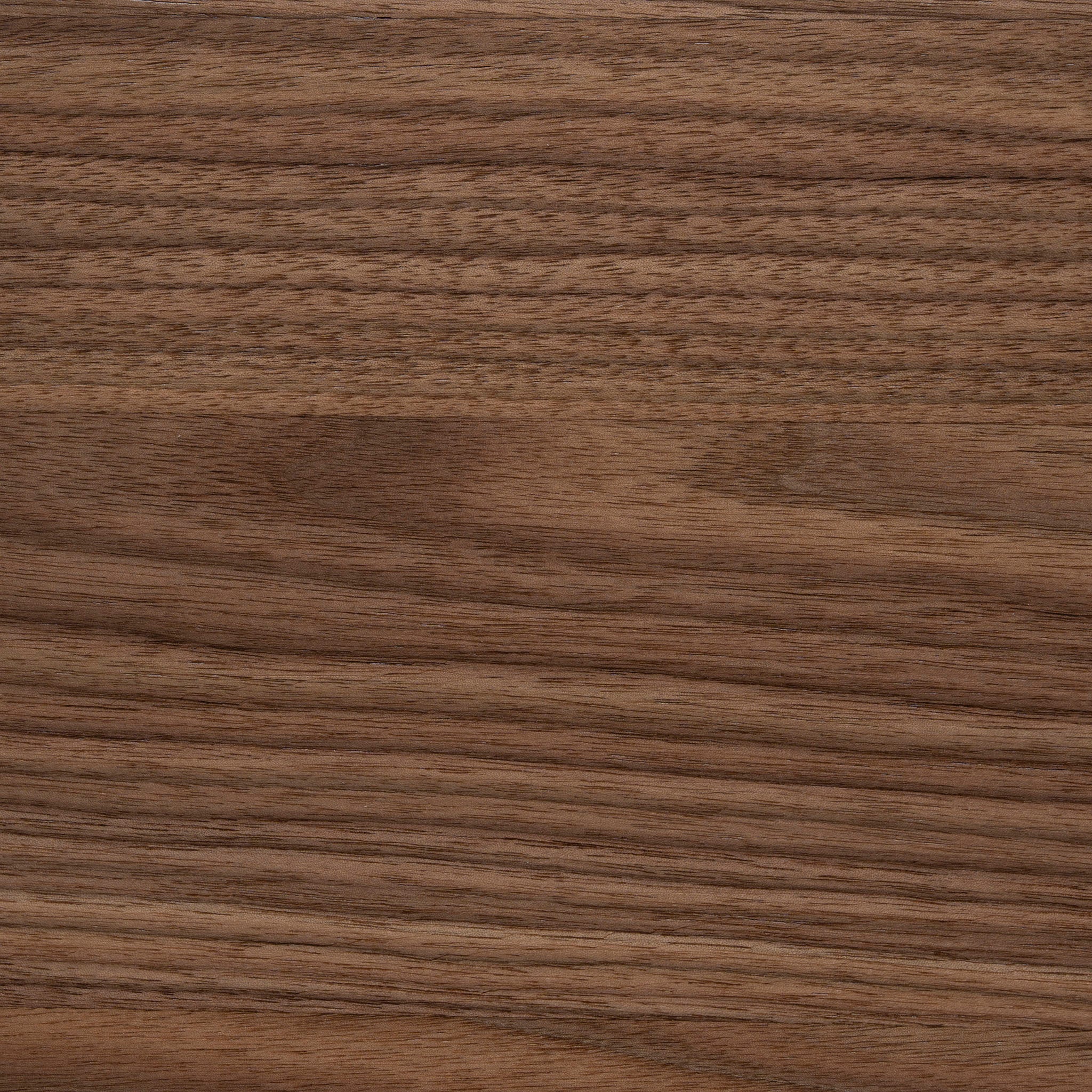Nobu 1.5m Round Dining Table - Walnut Dining Table Century-Core