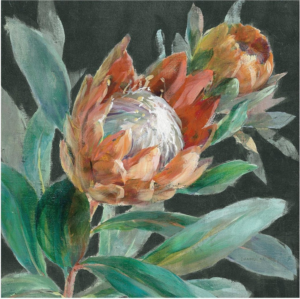 Deep Tropical Protea Crop, By Danhui Nai Wall Art Gioia-Local Gold Framed Canvas 50x50cm