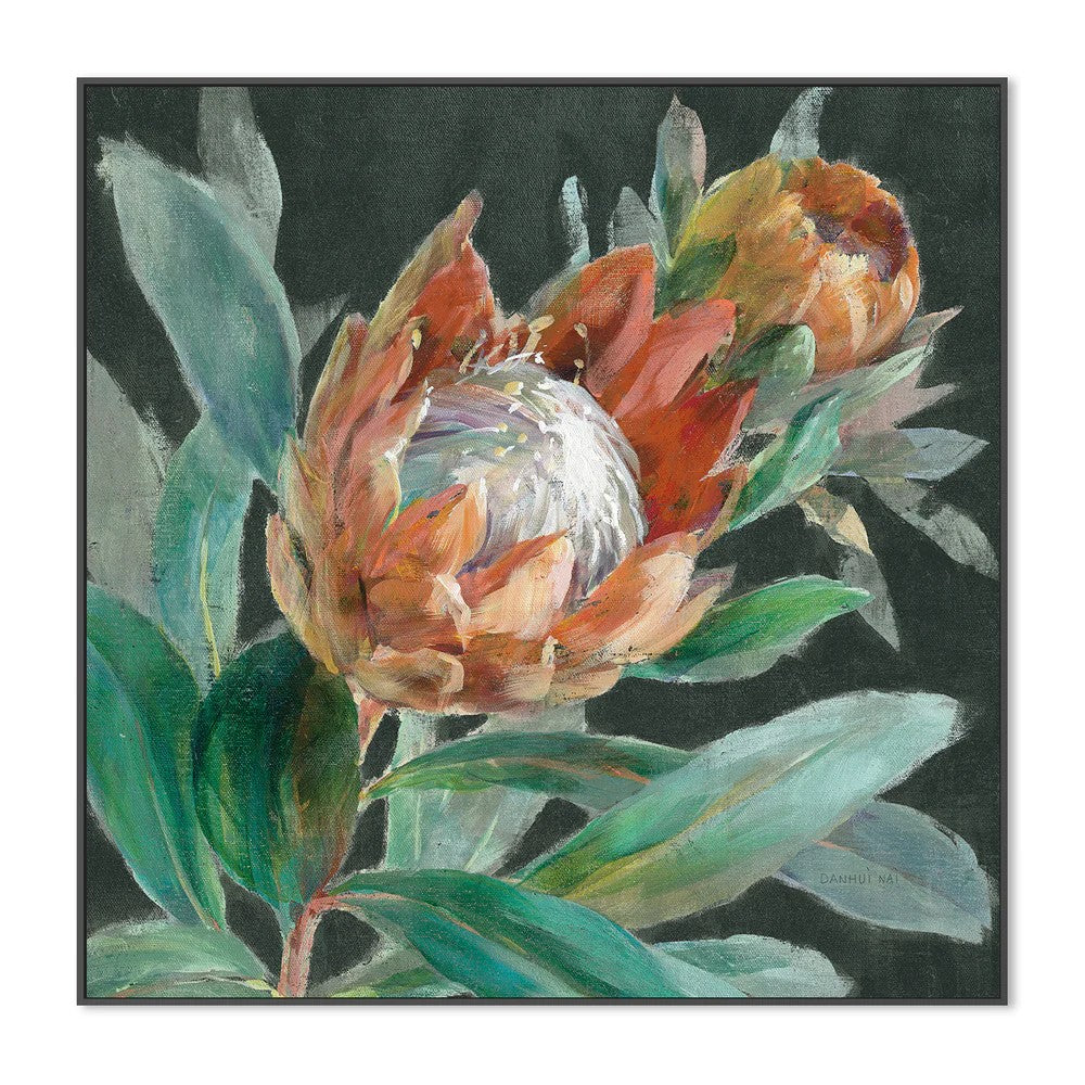 Deep Tropical Protea Crop, By Danhui Nai Wall Art Gioia-Local Black Framed Canvas 50x50cm