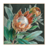 Deep Tropical Protea Crop, By Danhui Nai Wall Art Gioia-Local Oak Framed Canvas 50x50cm