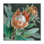 Deep Tropical Protea Crop, By Danhui Nai Wall Art Gioia-Local White Framed Canvas 50x50cm