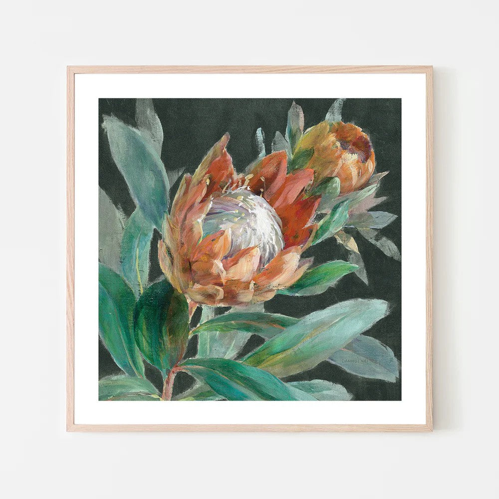 Deep Tropical Protea Crop, By Danhui Nai Wall Art Gioia-Local Black Framed Poster 50x50cm