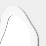 Ditto 65 x 85cm Freeform Mirror (test Mirror Warran-Local