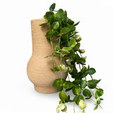 Ex Display - Florian Ceramic Vase - Mustard