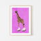 Giraffe Rollerskating, By Sarah Manovski Wall Art Gioia-Local Black Framed Poster 40x60cm