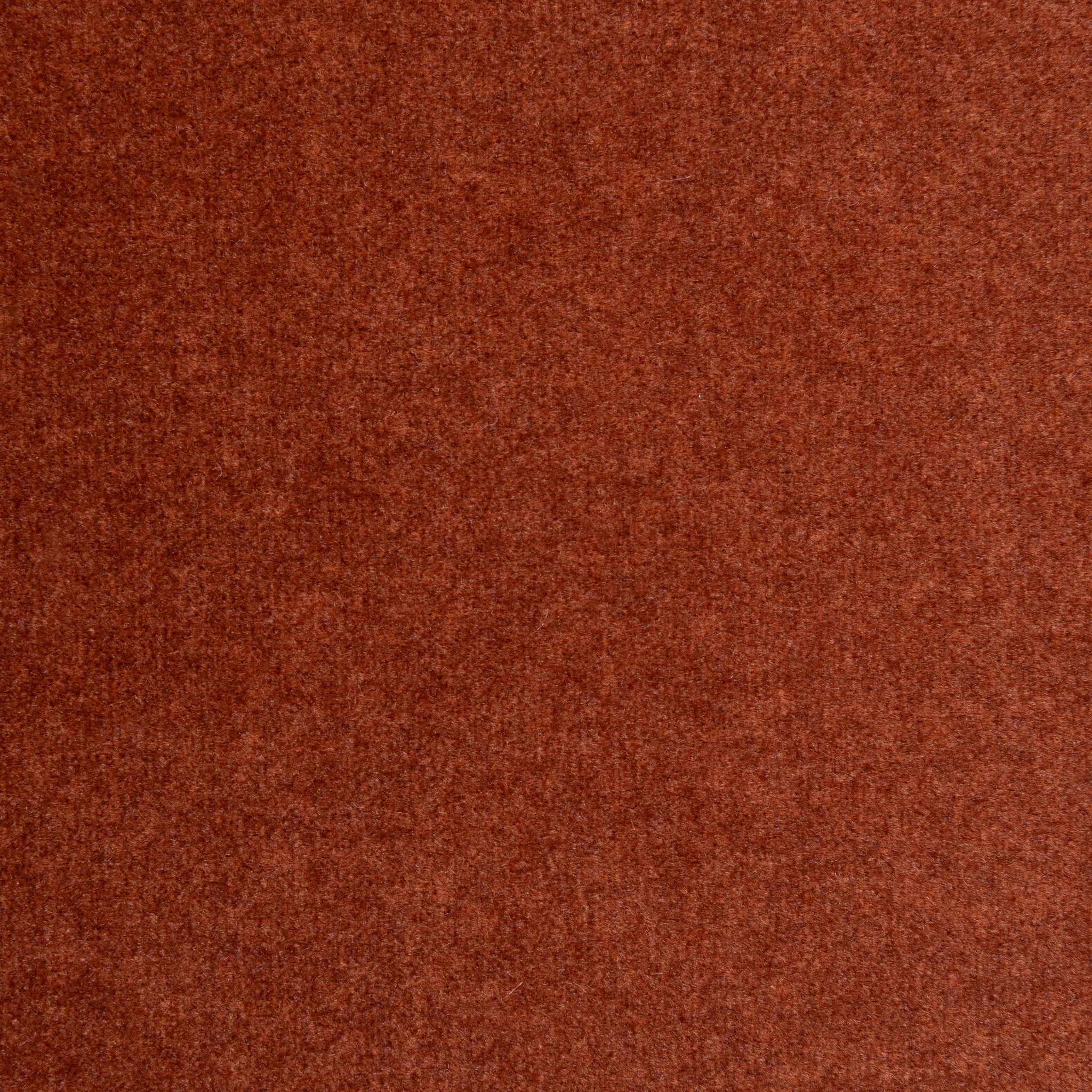 Soma 2 Seater Sofa - Umber Orange Sofa OL Sofa-Core