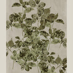 Nature's Sketch, Style B, By Cartissi Wall Art Gioia-Local 40x60cm Framed Canvas Gold