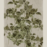 Nature's Sketch, Style B, By Cartissi Wall Art Gioia-Local 40x60cm Framed Canvas Gold