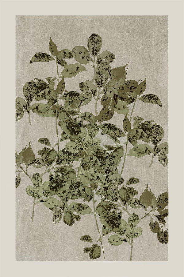 Nature's Sketch, Style B, By Cartissi Wall Art Gioia-Local 40x60cm Framed Canvas Gold