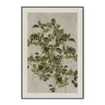 Nature's Sketch, Style B, By Cartissi Wall Art Gioia-Local 40x60cm Framed Canvas Black