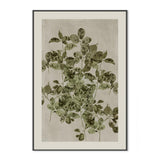 Nature's Sketch, Style B, By Cartissi Wall Art Gioia-Local 40x60cm Framed Canvas Black