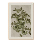 Nature's Sketch, Style B, By Cartissi Wall Art Gioia-Local 40x60cm Framed Canvas Oak