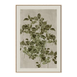 Nature's Sketch, Style B, By Cartissi Wall Art Gioia-Local 40x60cm Framed Canvas Oak