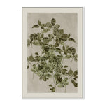 Nature's Sketch, Style B, By Cartissi Wall Art Gioia-Local 40x60cm Framed Canvas White