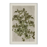 Nature's Sketch, Style B, By Cartissi Wall Art Gioia-Local 40x60cm Framed Canvas White