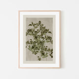 Nature's Sketch, Style B, By Cartissi Wall Art Gioia-Local 40x60cm Framed Poster Black