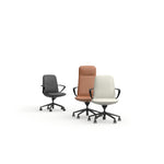 Celebi Leather Office Chair Office Chair OLGY-Local