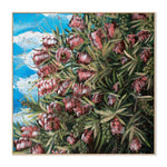 Our Adventure Begins - Bottle Brush Flowers, By Hsin Lin Wall Art Gioia-Local Oak Framed Canvas 50x50cm